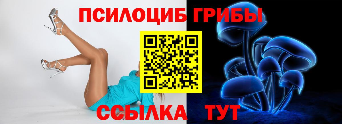 Азнакаево  Галлюциногенные грибы GOLDEN TEACHER  Вход с VPN 